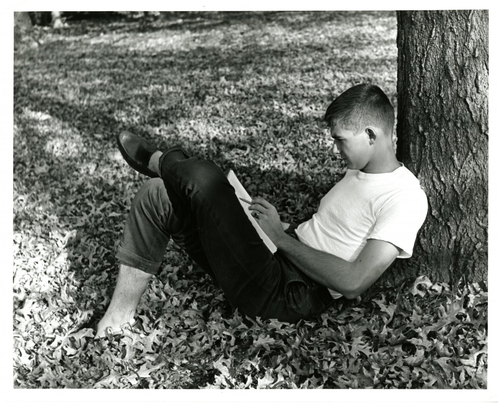A student studies under a tree, amid a pile of fall leaves - a common sight on campus!